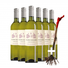 Échappée Gourmande Côtes de Thongue wit