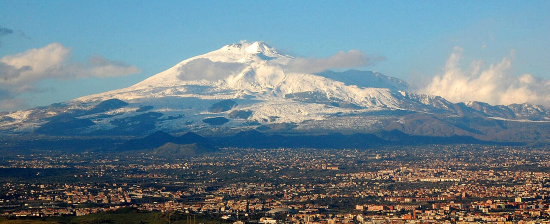 Tenuta delle Terre Nere – Vulkanische finesse van de Etna