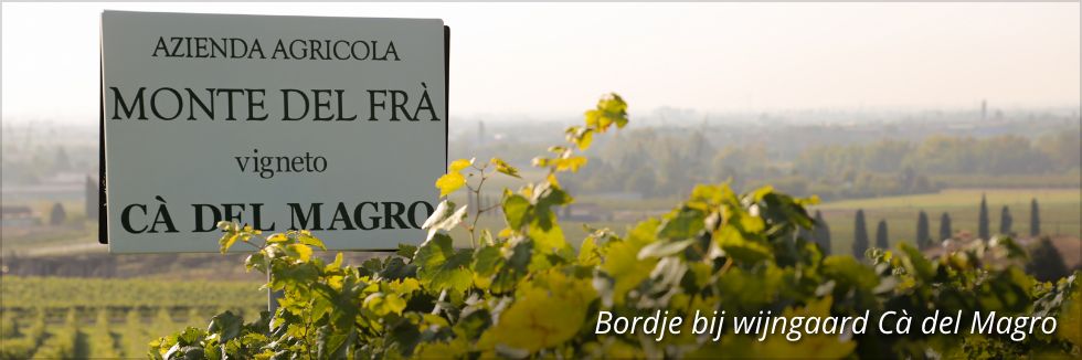 Monte del Frà – Authentieke kwaliteitswijnen uit Custoza, Valpolicella en Bardolino
