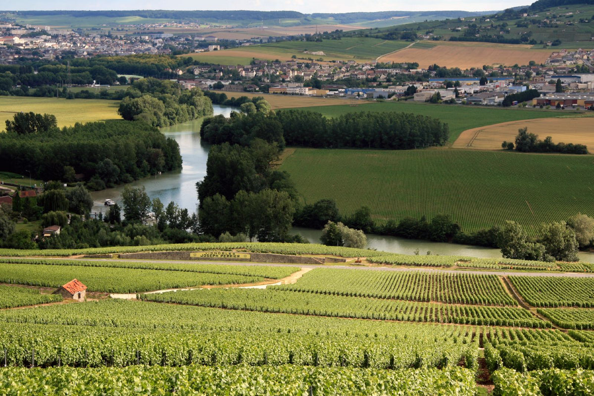 Uitzicht over de wijngaarden van Champagne bij Hautvillers
