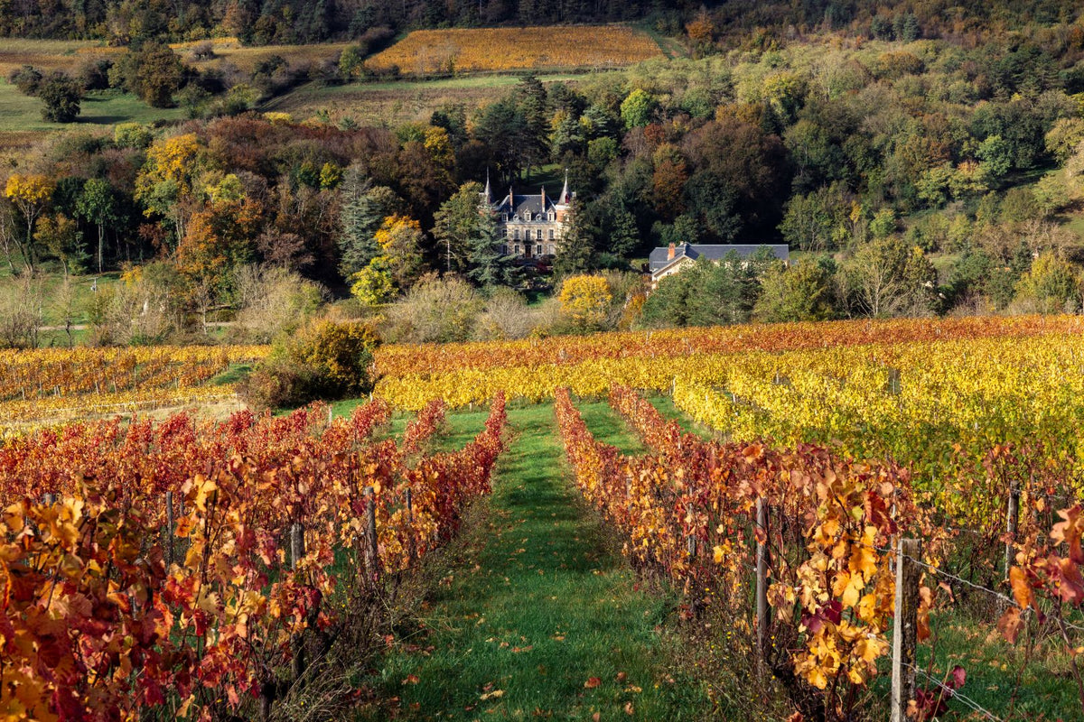 Klassiekers uit Bourgogne & Bordeaux