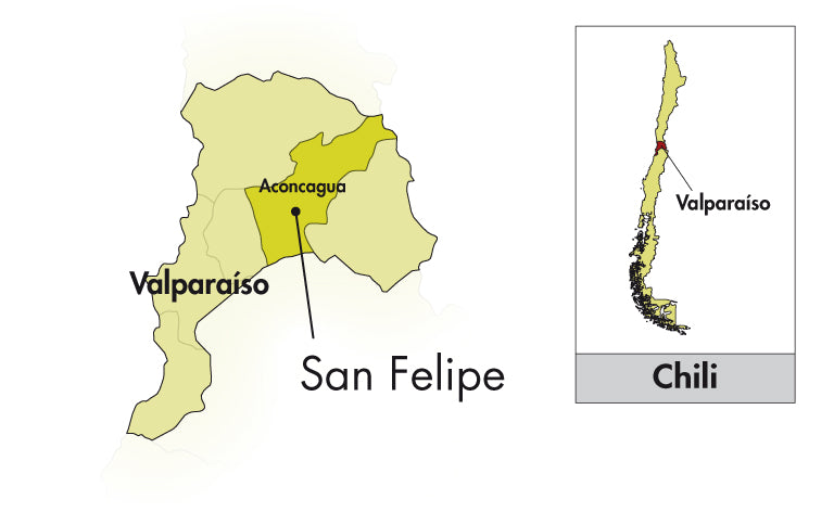 Area of Origin - Chili - Leyda Valley