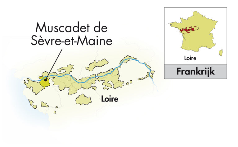 Area of Origin - Frankrijk - Muscadet