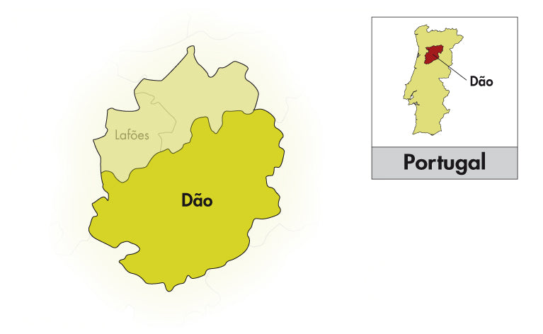 Area of Origin - Portugal - Dão