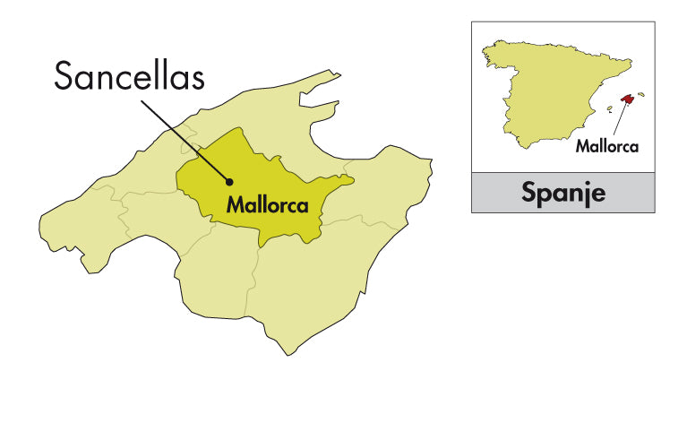 Area of Origin - Spanje - Mallorca