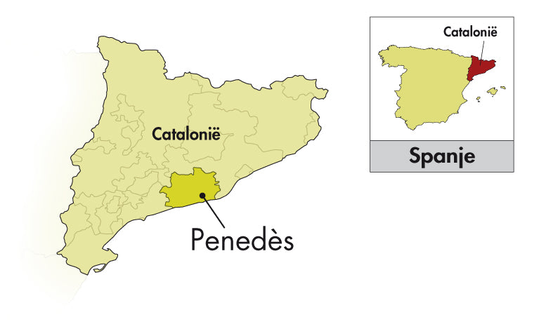 Area of Origin - Spanje - Penedès