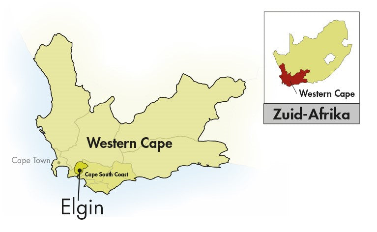 Area of Origin - Zuid-Afrika - Elgin