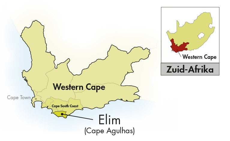 Area of Origin - Zuid-Afrika - Elim