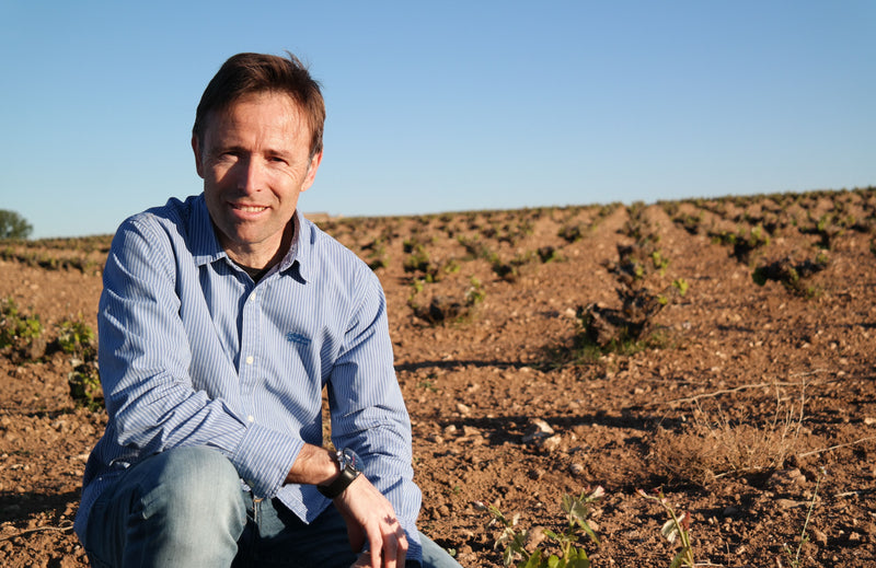 Bodegas Piqueras