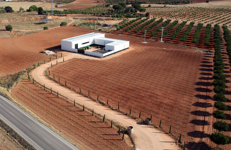 Bodegas Ponce