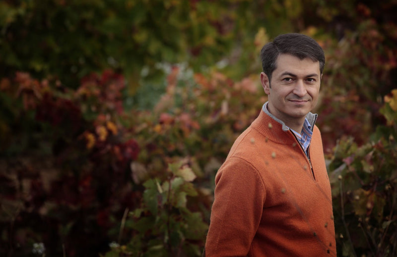 Bodegas Vivanco
