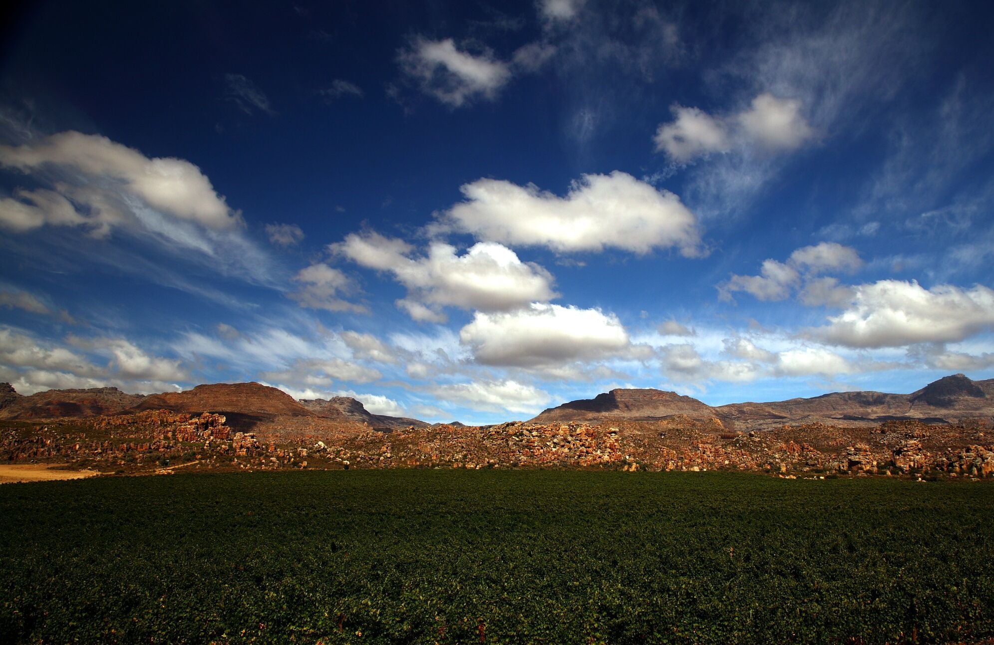 De adembenemde Cederberg-wijngaarden