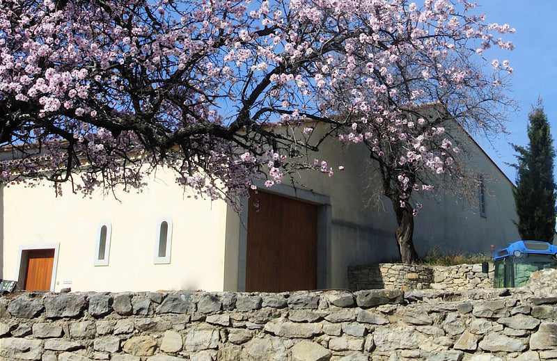 Domaine Coudoulet