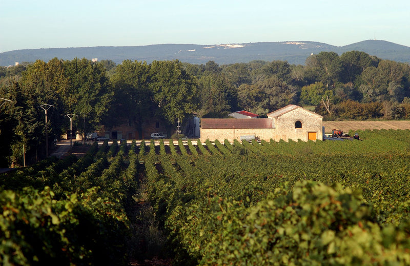 Domaine de Gournier