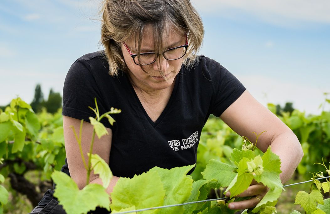 Gwénaëlle Croix in de wijngaard