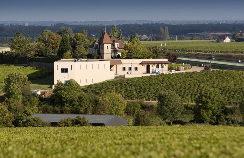 Domaine Michel Redde