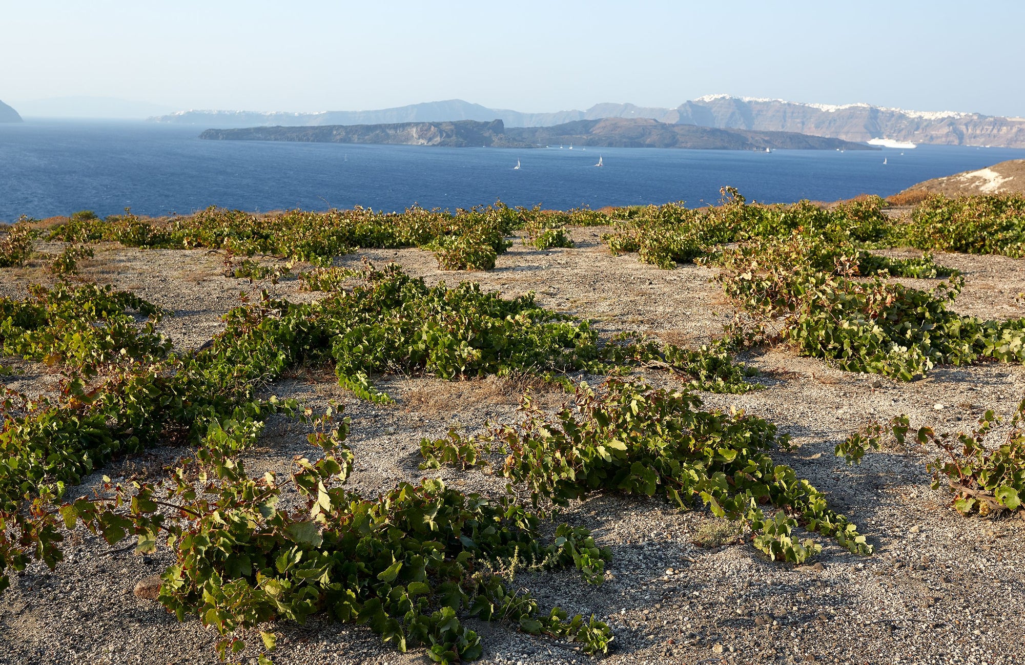 Laaggetrainde stokken op Santorini