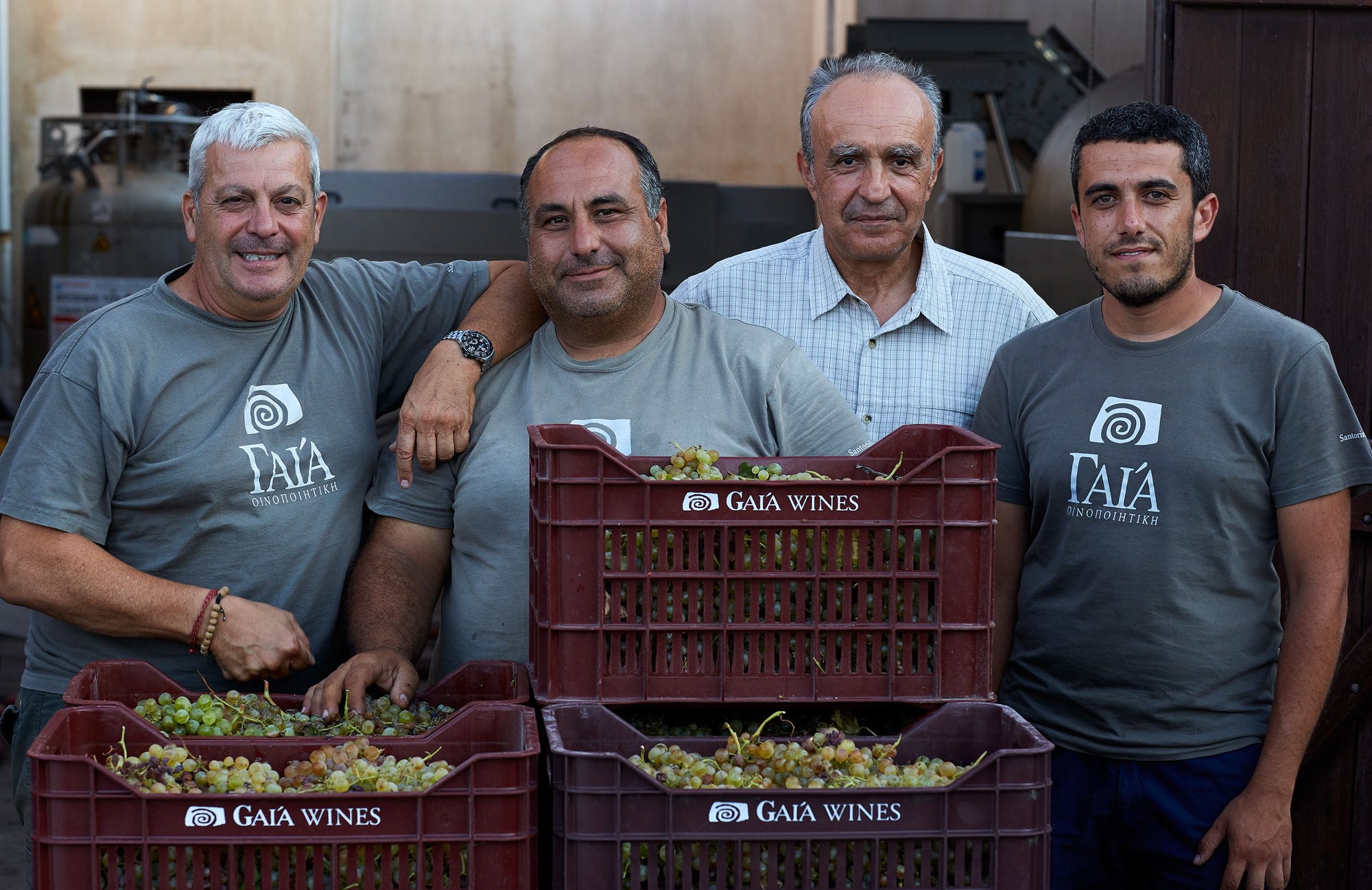 Team Gaia Estate