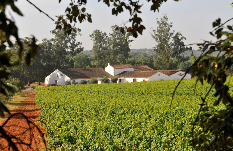 Herdade do Mouchão
