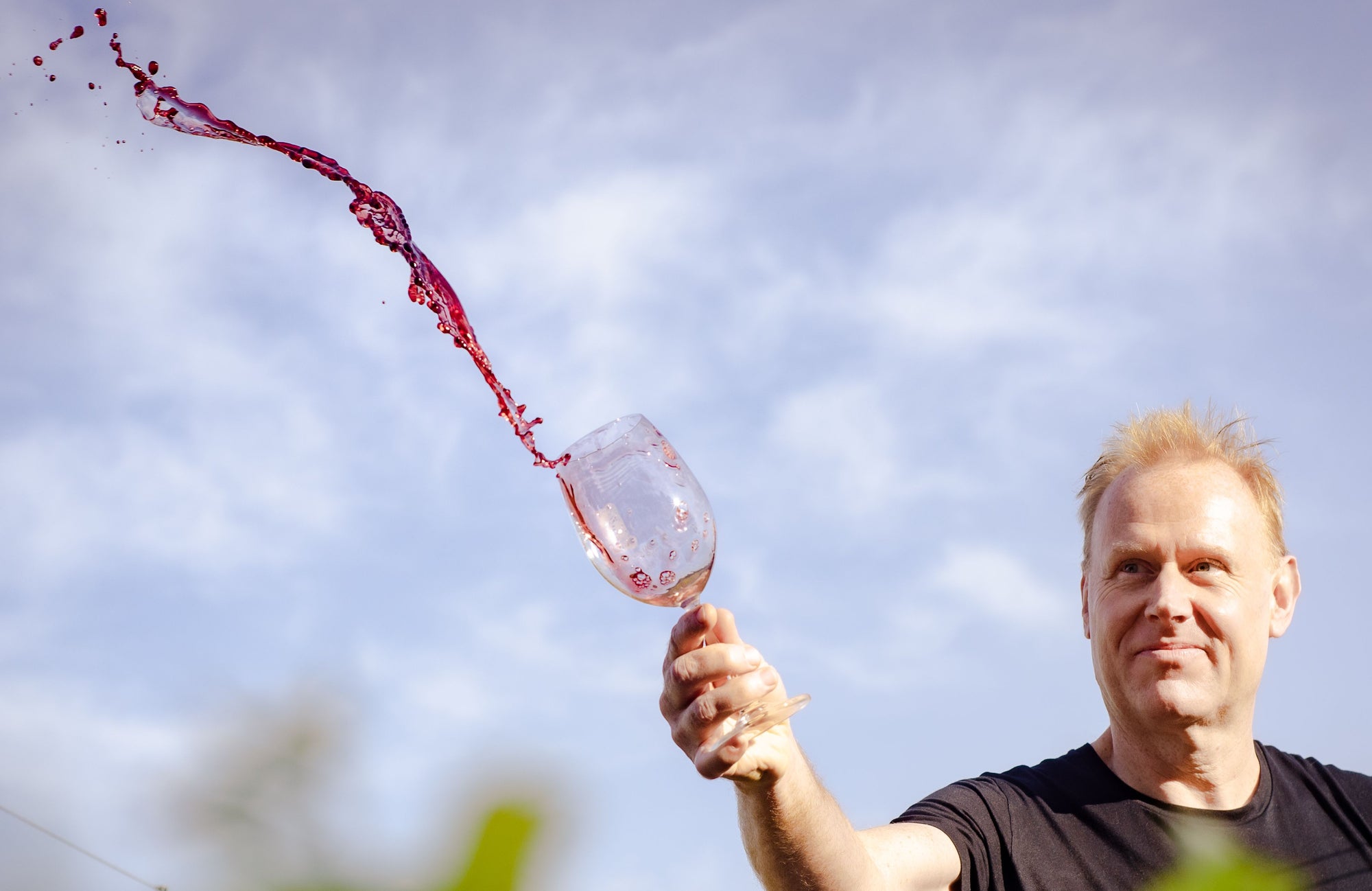 Kershaw Wines