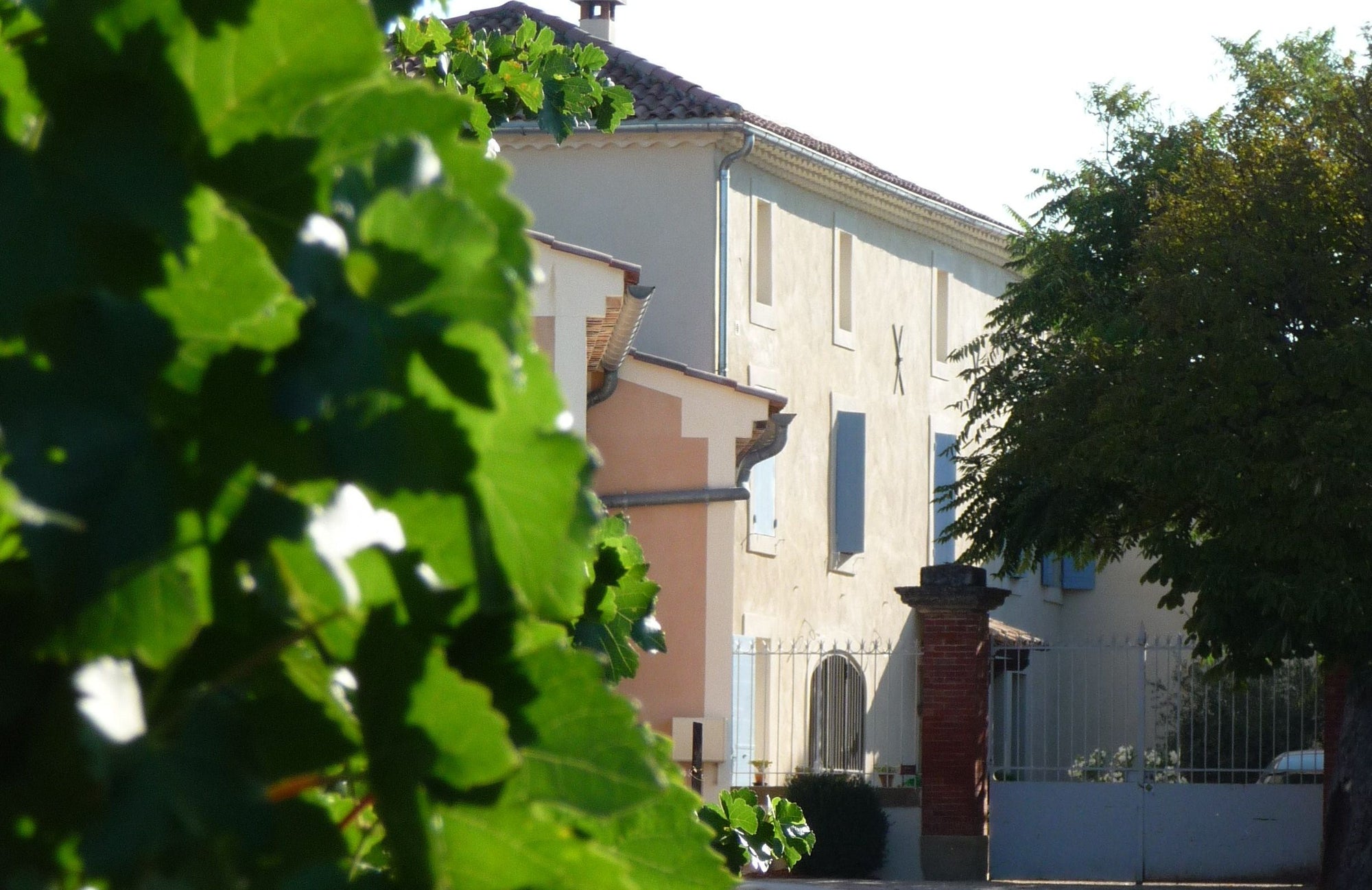 Domaine La Bastide Saint Vincent