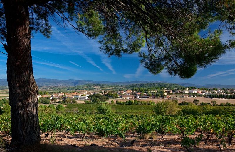 La Cour des Dames