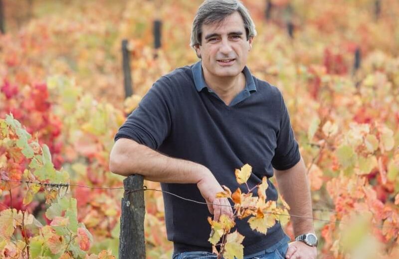 Luis Seabra Vinhos