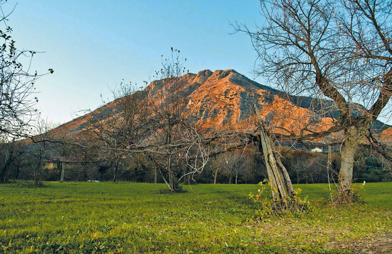 Masseria Frattasi