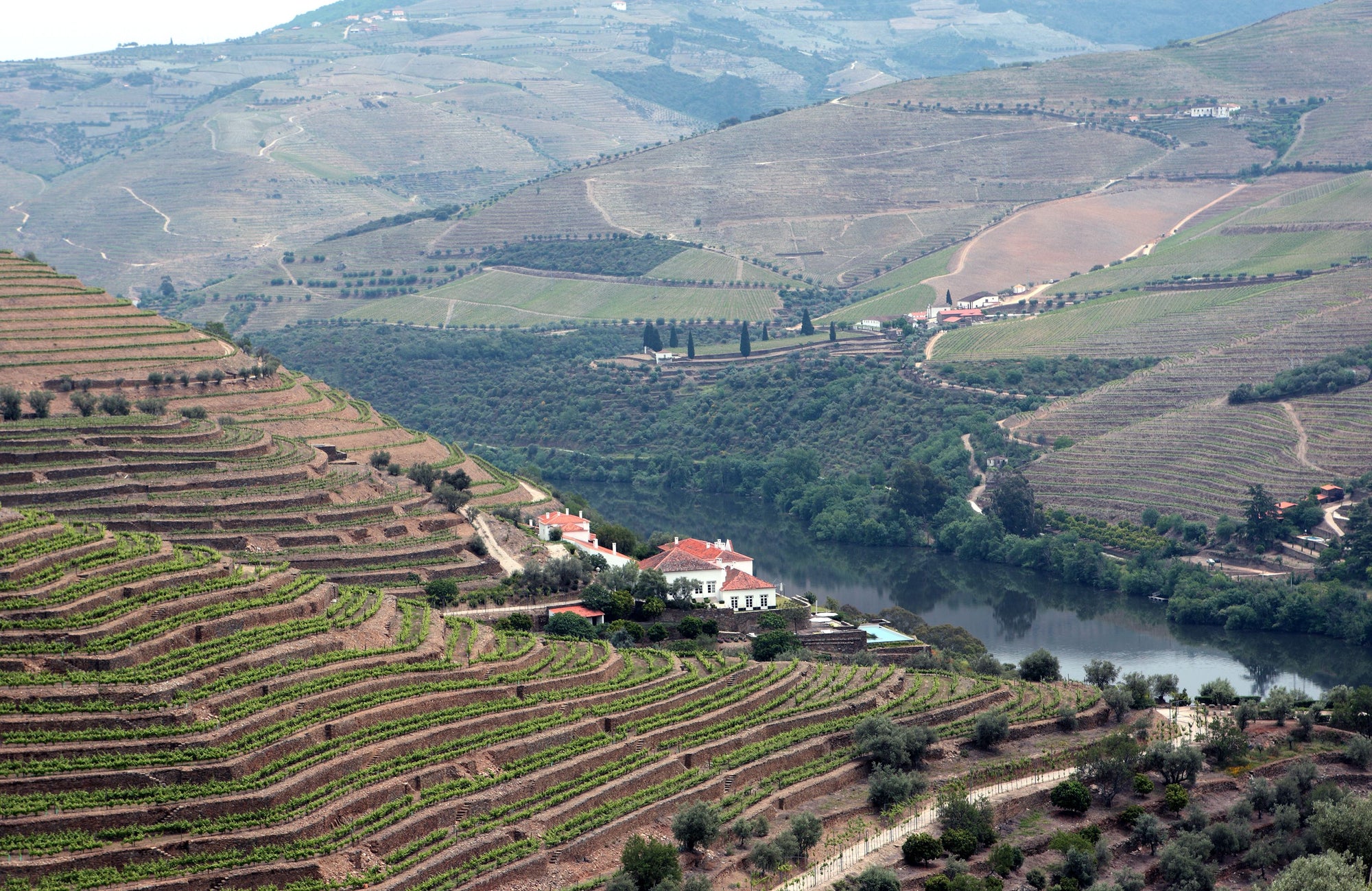 Quinta da Romaneira temidden van de wijngaarden