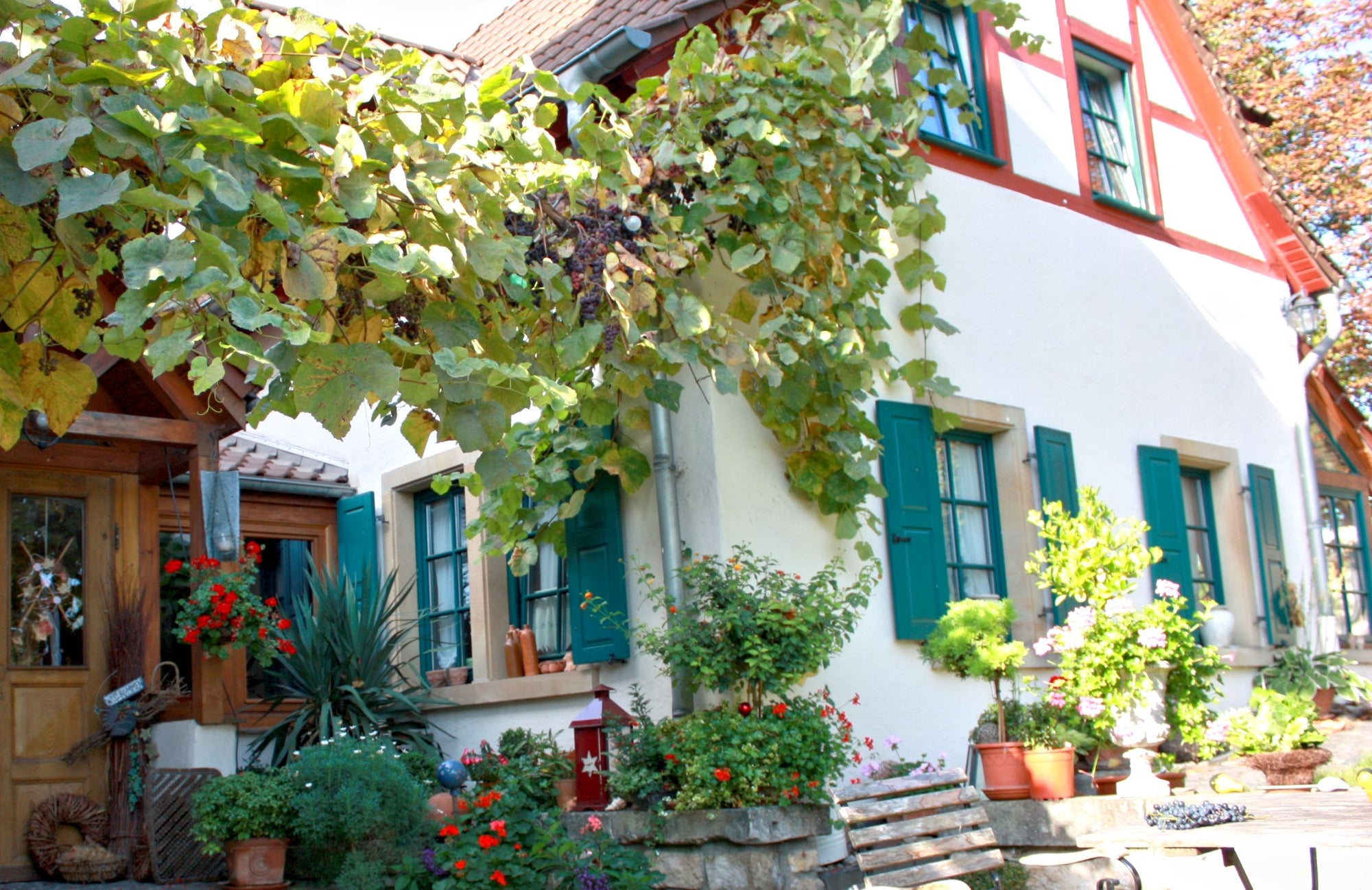 Het Weingut