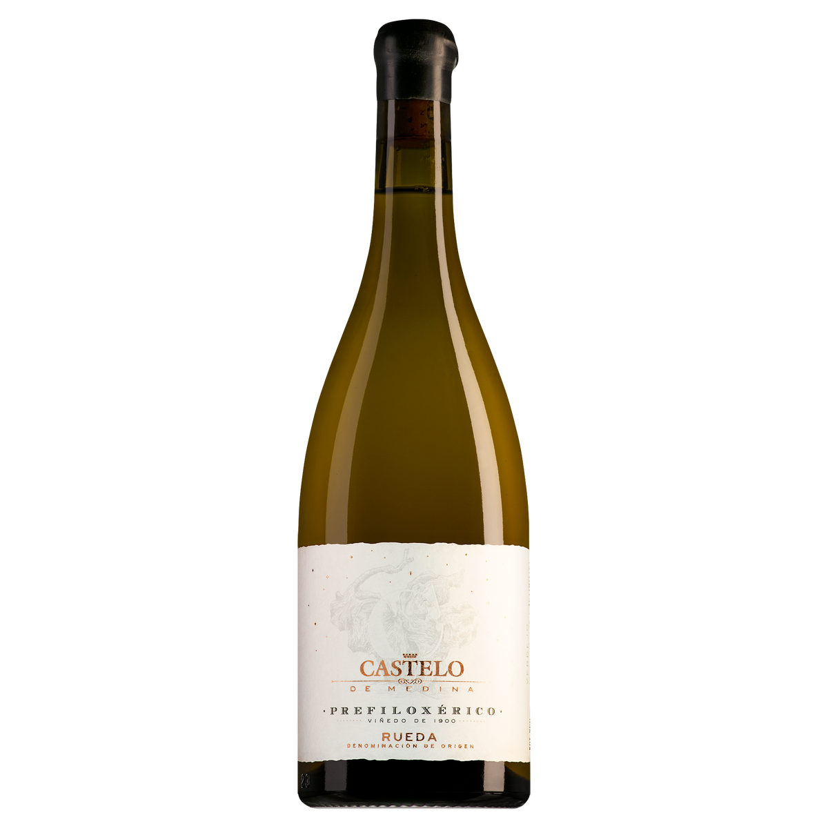 Castelo de Medina Rueda Verdejo Prefiloxérico