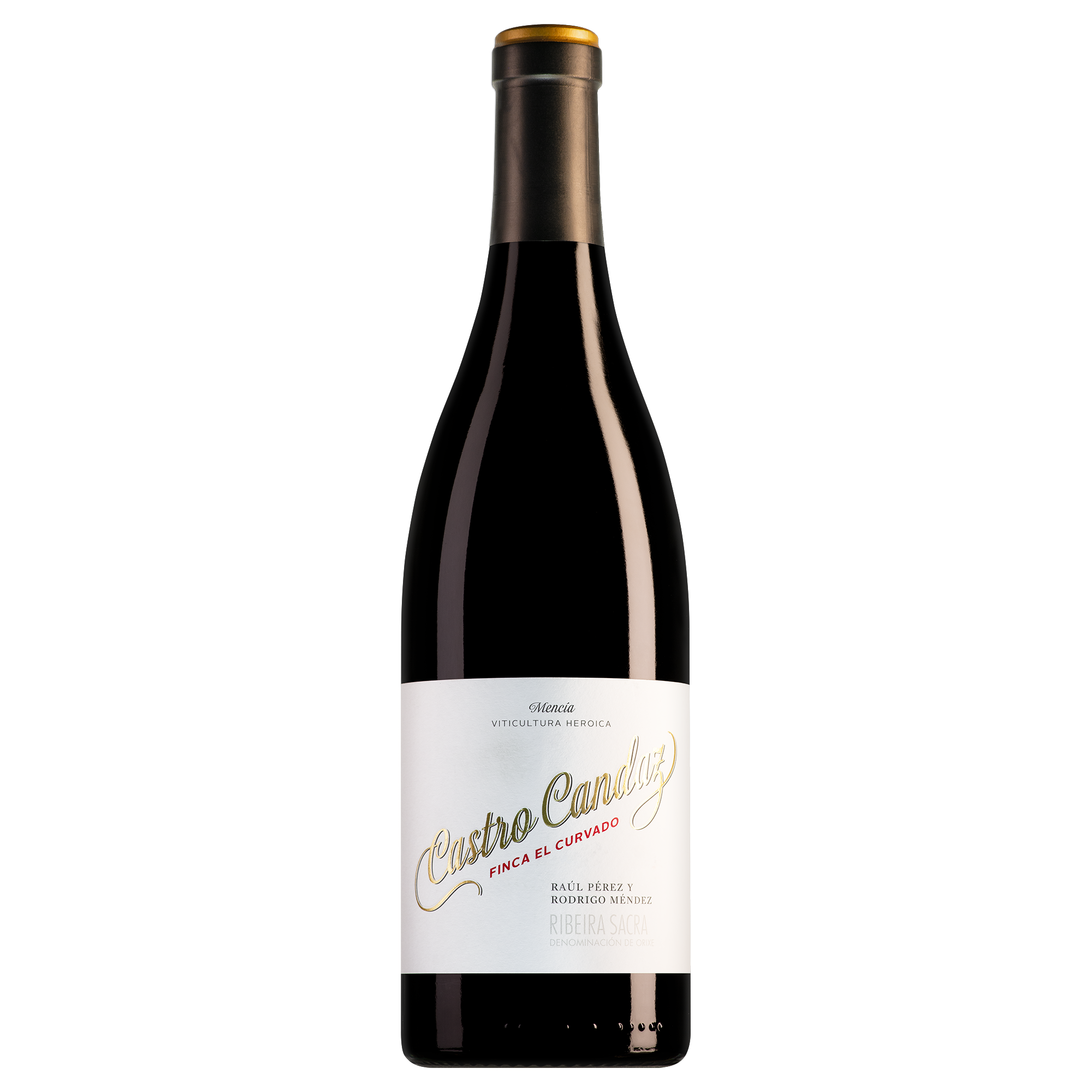 Castro Candaz Ribeira Sacra Finca El Curvado Mencía