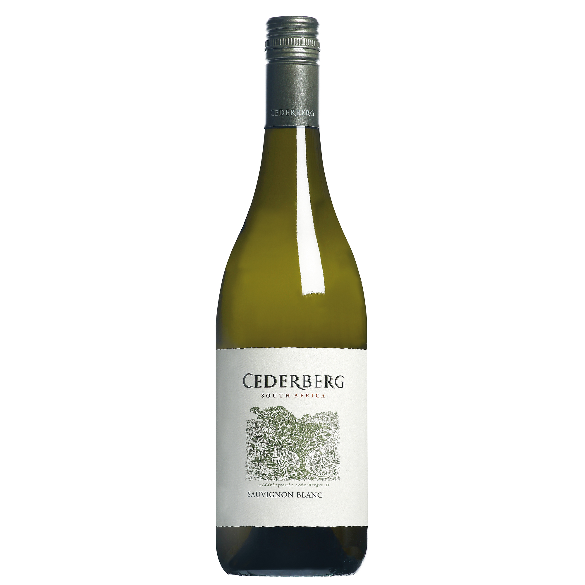Cederberg Sauvignon Blanc