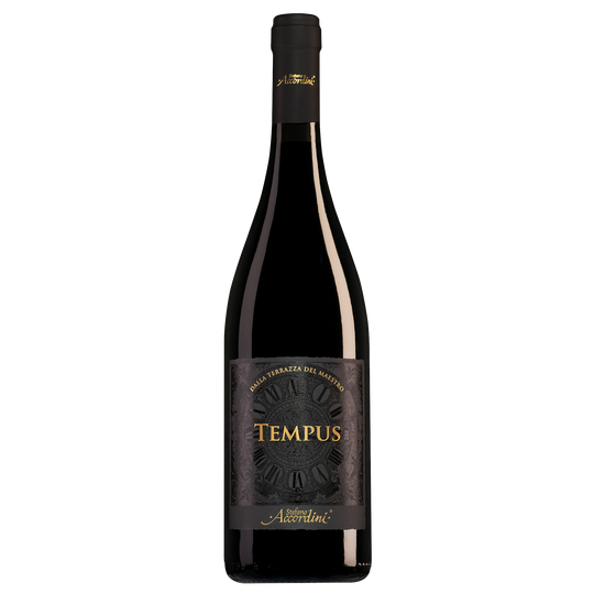 Stefano Accordini Veneto Tempus 2024