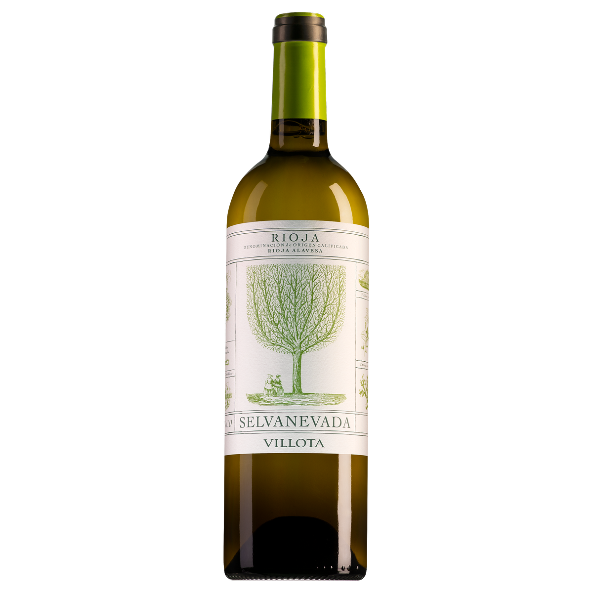 Viña del Lentisco Rioja Villota Selvanevada Blanco