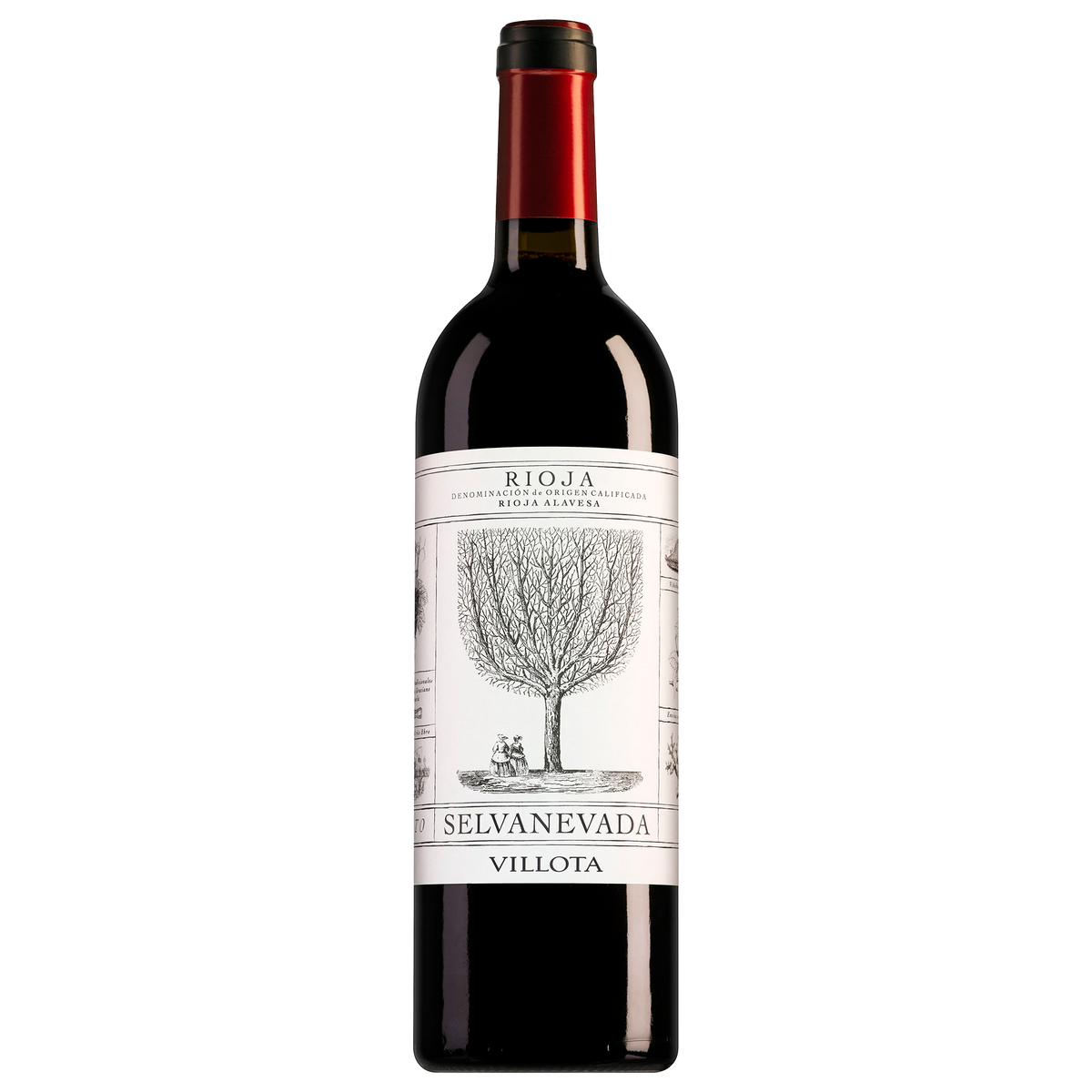 Viña del Lentisco Rioja Villota Selvanevada Tinto