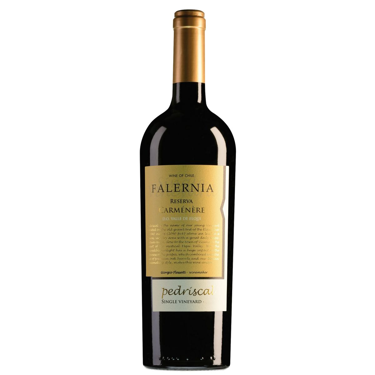 Viña Falernia Elqui Valley Pedriscal Carmenère
