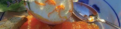 Semifreddo van sinaasappel met clementines
