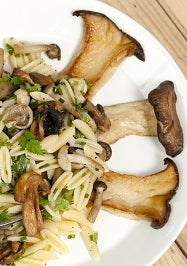 Paddestoelen met pasta en groene kruiden