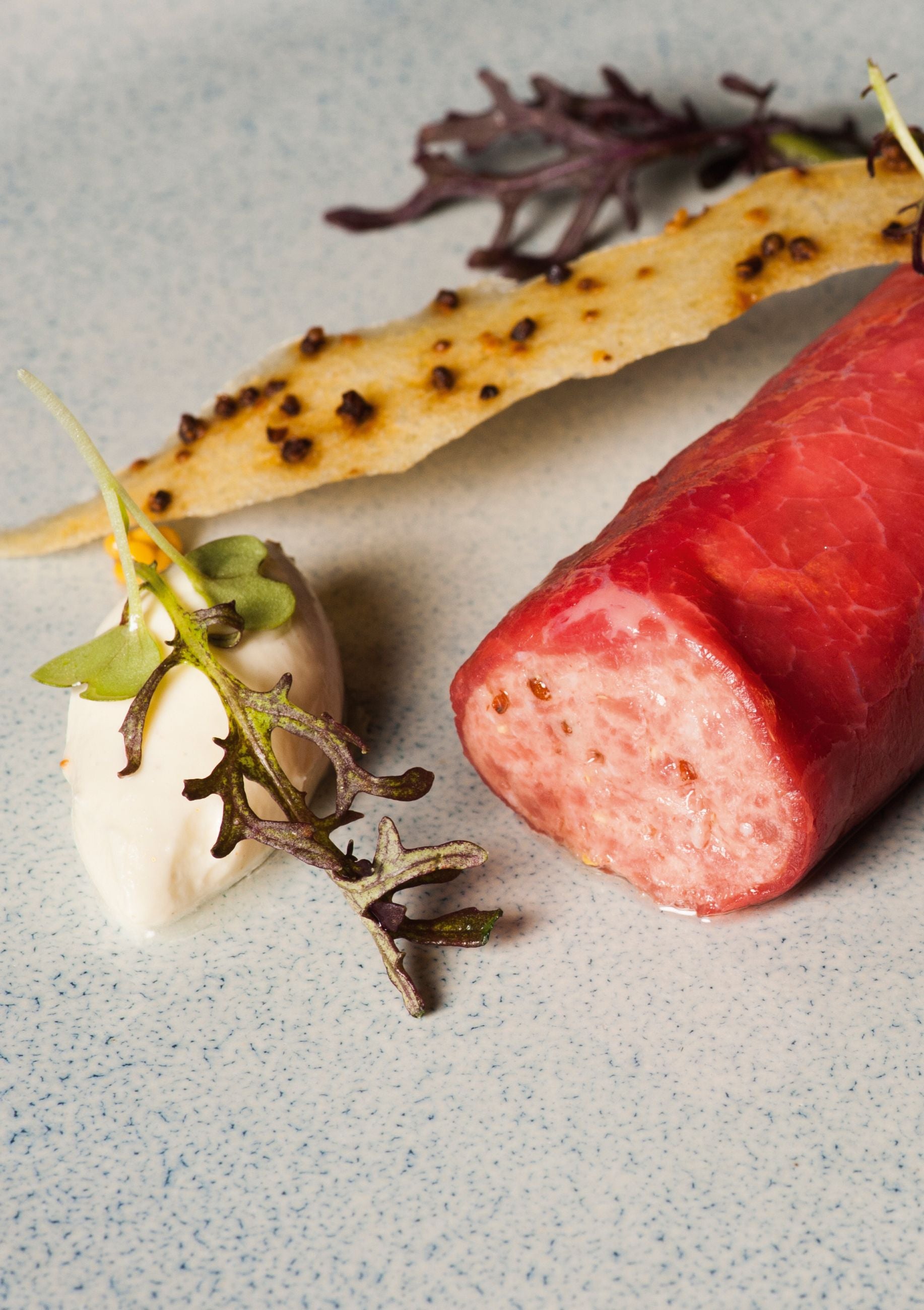 Steak tartare met mosterdgarnituur