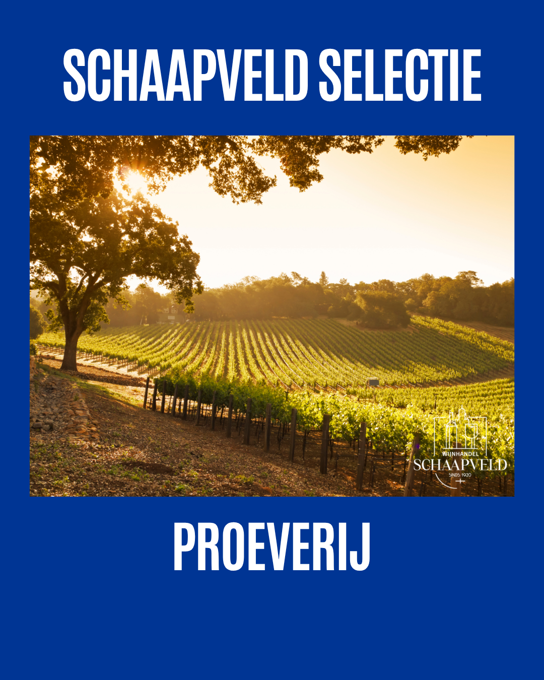 Wijnproeverij Selectie v.a. €35,-