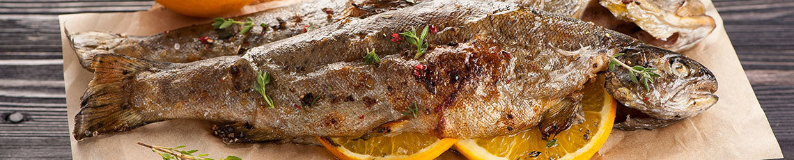 forel met groene kruiden en citroen