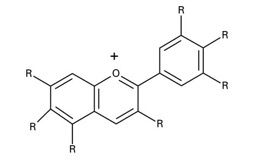 polyfenolmolecuul