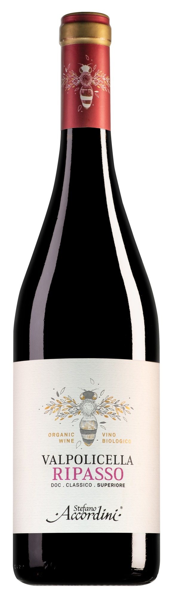 Stefano Accordini Valpolicella Ripasso Classico Superiore Biologico